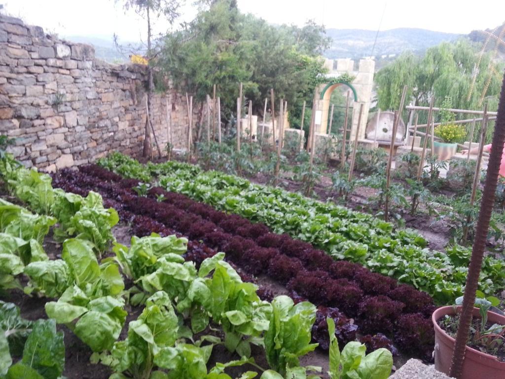 Las Bodegas De Claveria El Humo de Muro Εξωτερικό φωτογραφία